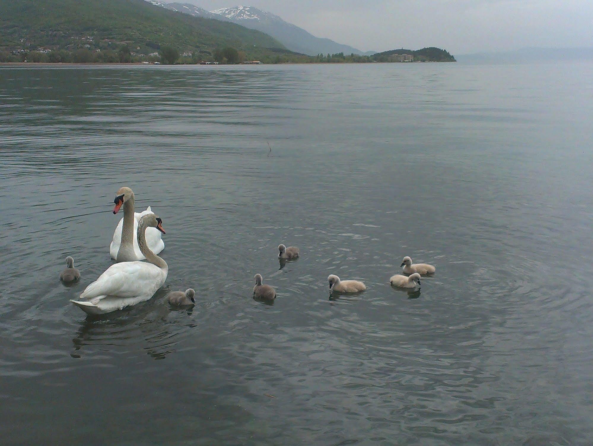 Vila Kosta City Center Port Ohrid Ngoại thất bức ảnh